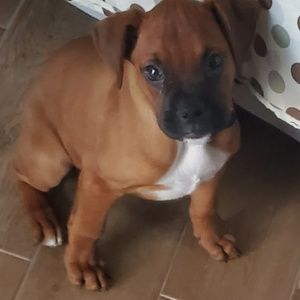 Meet your Posher, Julio